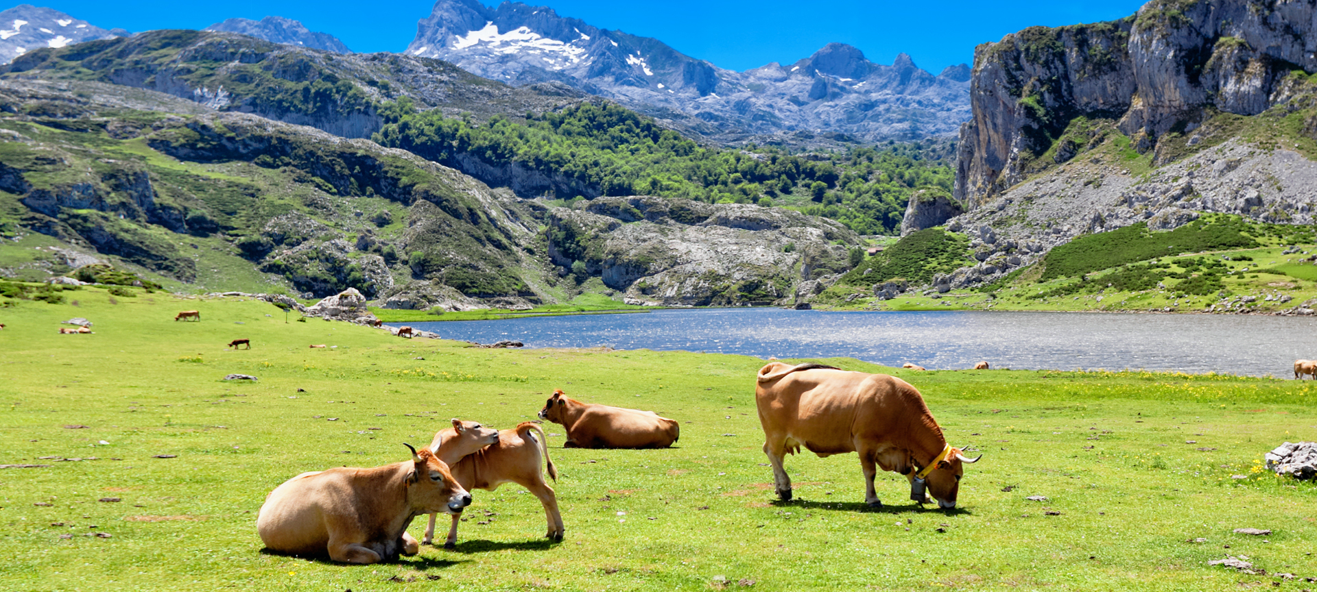 Cangas de Onís y Lagos de Covadonga